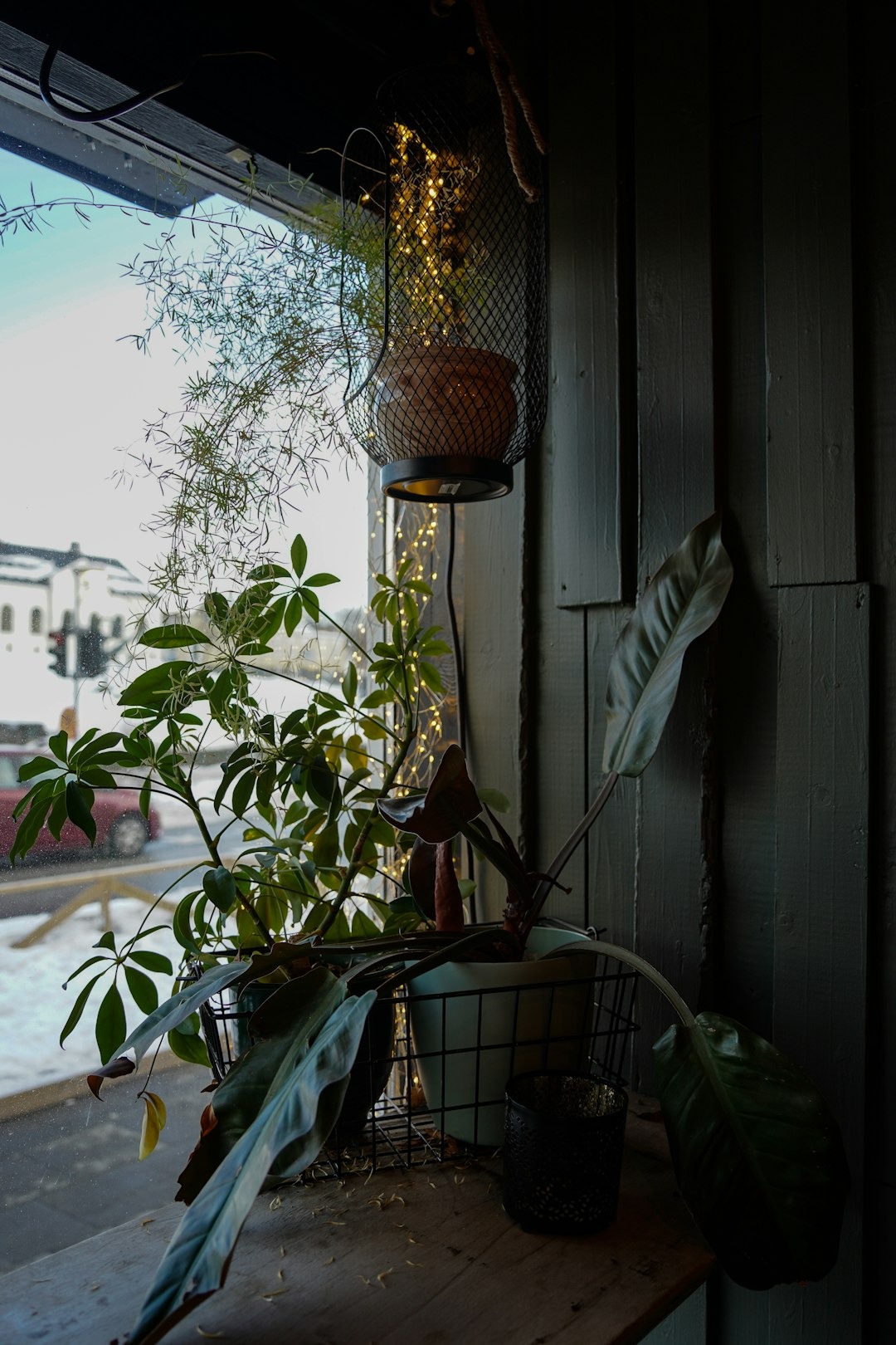 Green potted plants on a rustic windowsill with fairy lights.